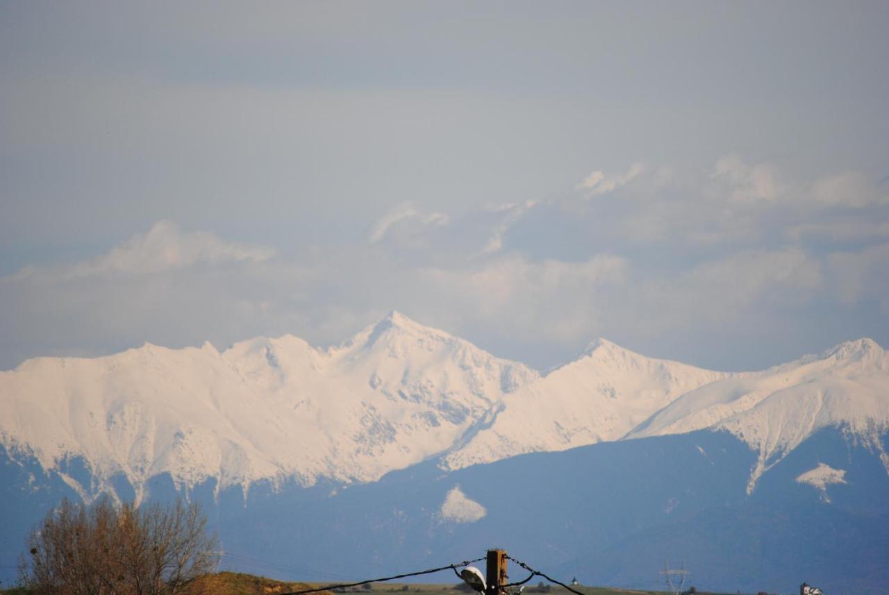 Pensiunea Carmen - Bikers Friendly Nest Sibiu Exterior foto